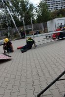 IMG_9811 (Large)_ergebnis_ergebnis